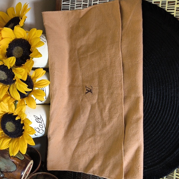 Louis Vuitton Other - LV dust bag